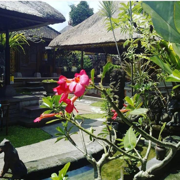 Family Guest House Ubud  Exterior photo